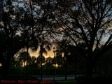 Street Lamp Illuminating Sunset, Plantation, Florida