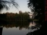 Full Moon Rising Over Wolf Lake, Davie, Florida