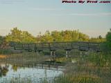Pedestrian Bridge, Volunteer Park, Plantation, Florida