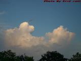 Cloud Poodle Contemplating Blue Sky, Sunrise, Florida