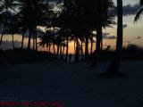 Sun's First Light, Crandon Park, Key Biscayne, Florida