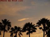 Sunset Floater Over Silhouetted Palms, Sunrise, Florida