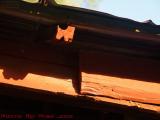 Roof Study in Late Afternoon Sun, Groveland, New York