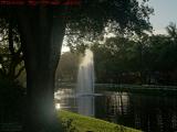 Fountain Backlit by Late Afternoon Sun, Sunrise Blvd.