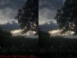 Dark Vegetation on Sunset Cloudscape (cross eye stereo)