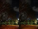 Parking Nightscape, Plantation Pointe (cross eye stereo)