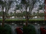 Rainy St Tropez Apts Plantation Morning (cross eye stereo)