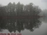 Foggy Morning Reflections, Devil's Dishfull Pond, Peabody