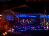Christmas Lights # 53, Plantation, Florida