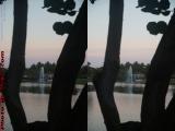 Fountain Perspective, Plantation (cross eye stereo)