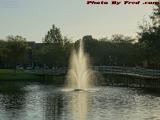 Fountain in Early Morning Light, St. Tropez Apartments
