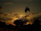 Setting Sun Perspective, Oakland Park Blvd., Sunrise