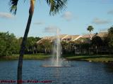Fountain in Late Afternoon Sun With Palm, Plantation
