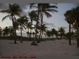Windy Beach View in Dawn's Early Light, Key Biscayne