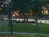 Memorial Park Backlit By Sunset Light, Tamarac, Florida