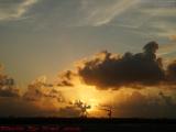 Crane Standing Against a Sunrise, Hollywood, Florida
