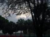 Early Evening Sky Through Foreground Rain, Plantation