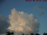 Cloud Pets in Sunset Light, Plantation, Florida