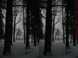 Island Park Snow Fall, Wellsville, NY (cross eye stereo)