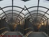 Island Park Walkbridge, Wellsville, NY (cross eye stereo)
