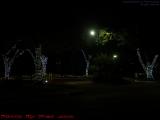 Christmas Lights # 58, Grand Marquis Entrance, Plantation