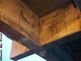Bridge Structure Study Detail, Arlington, Massachusetts