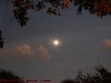 Gloaming Moon Through Post-Sunset Lighting, Plantation